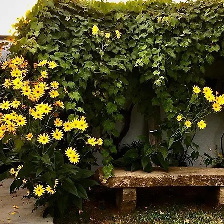 Casa As Dez Angra do Heroísmo