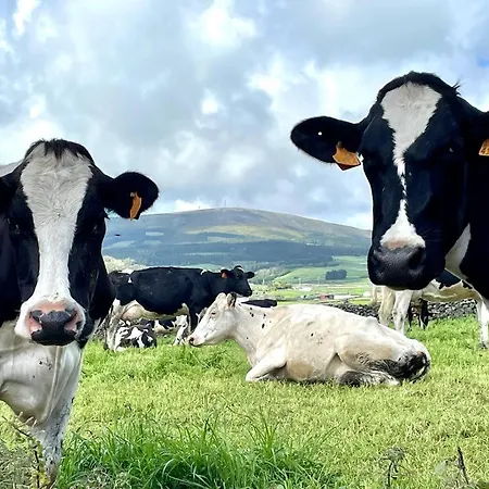 Casa às Dez Casa vacanze *