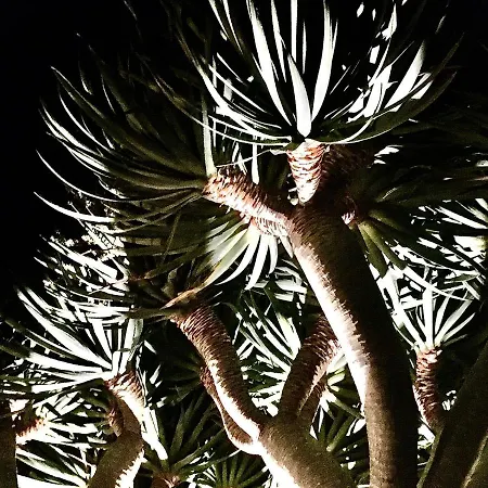 Casa às Dez Casa vacanze Angra do Heroísmo