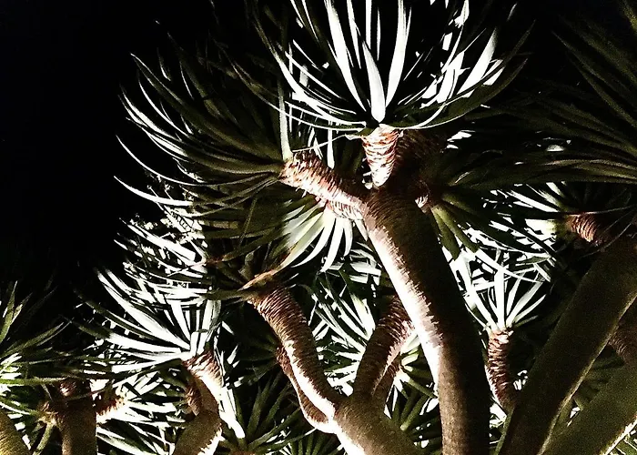 Casa às Dez Hébergement de vacances Angra do Heroísmo