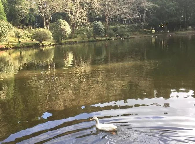 Casa às Dez Hébergement de vacances *