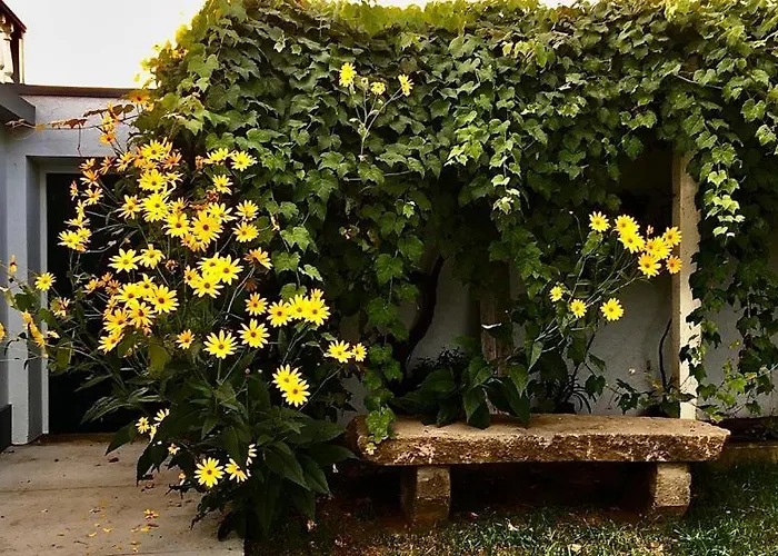 Casa às Dez Angra do Heroísmo